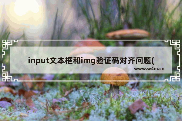 input文本框和img验证码对齐问题(img总比input高出一个头)