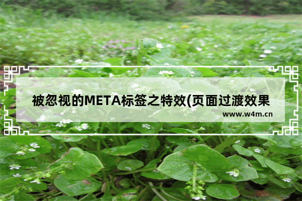 被忽视的META标签之特效(页面过渡效果)