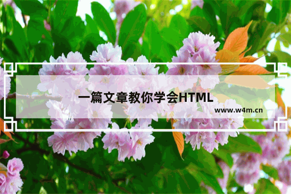 一篇文章教你学会HTML