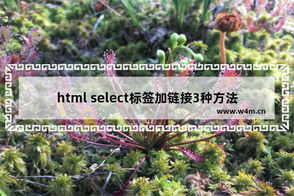 html select标签加链接3种方法