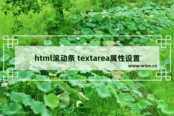 html滚动条 textarea属性设置