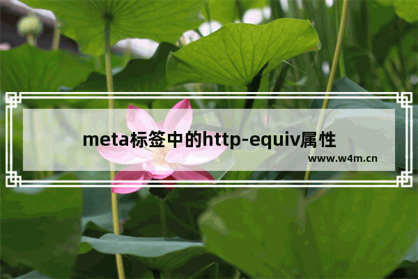 meta标签中的http-equiv属性使用介绍