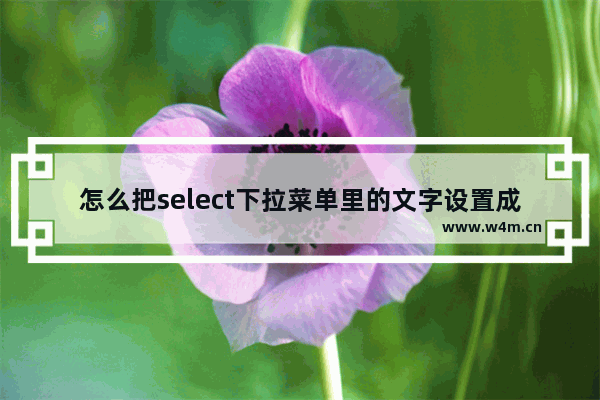 怎么把select下拉菜单里的文字设置成左右滚动效果