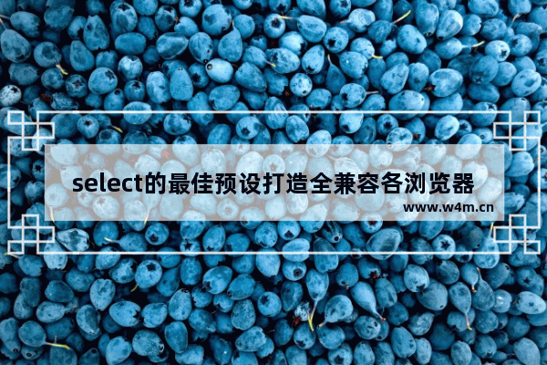 select的最佳预设打造全兼容各浏览器select