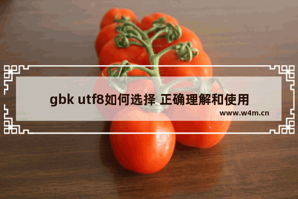 gbk utf8如何选择 正确理解和使用GBK及UTF-8网页编码