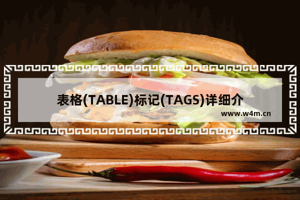 表格(TABLE)标记(TAGS)详细介绍