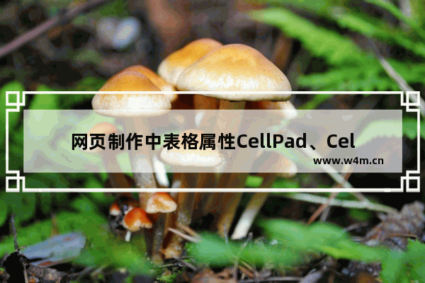 网页制作中表格属性CellPad、CellSpace和Border描述及使用介绍