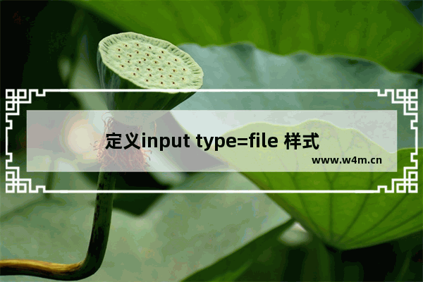 定义input type=file 样式的方法