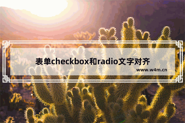 表单checkbox和radio文字对齐的代码