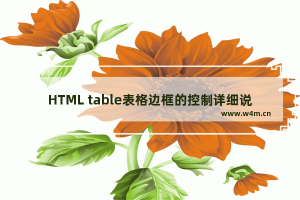 HTML table表格边框的控制详细说明