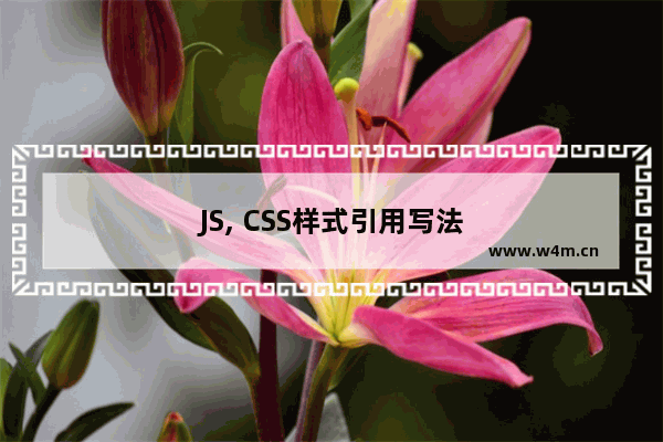 JS, CSS样式引用写法