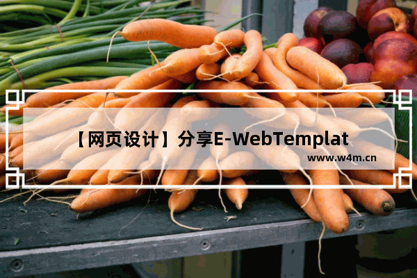 【网页设计】分享E-WebTemplates国外精美网页模板 FLASH+PSD源文件+HTML