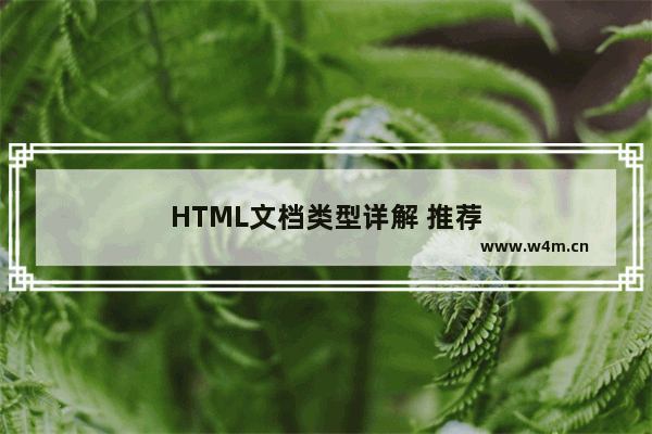 HTML文档类型详解 推荐