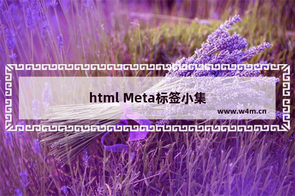 html Meta标签小集