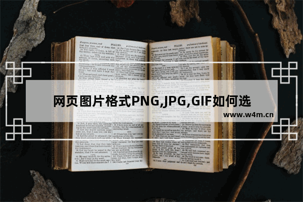 网页图片格式PNG,JPG,GIF如何选择使用