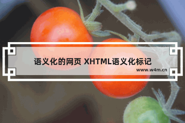 语义化的网页 XHTML语义化标记