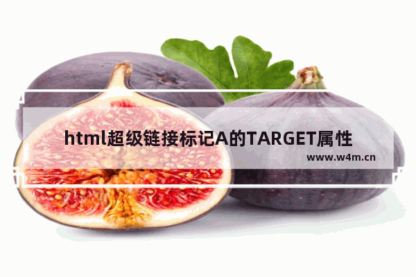 html超级链接标记A的TARGET属性详解