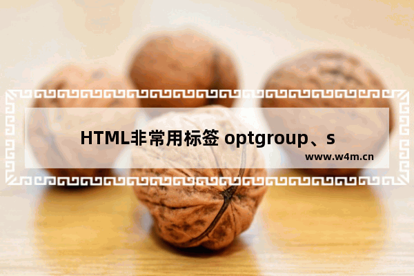 HTML非常用标签 optgroup、sub、sup和bdo示例代码