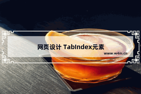 网页设计 TabIndex元素