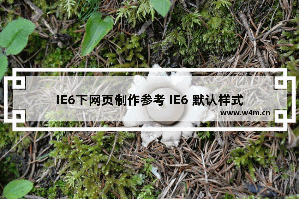 IE6下网页制作参考 IE6 默认样式