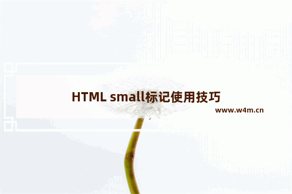 HTML small标记使用技巧