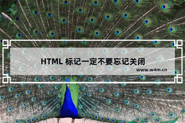 HTML 标记一定不要忘记关闭