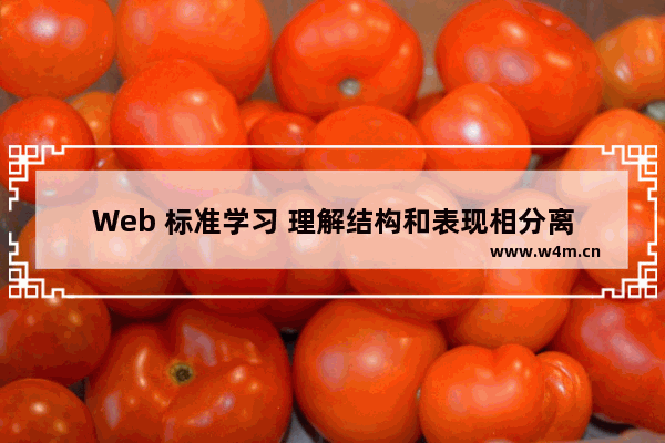 Web 标准学习 理解结构和表现相分离