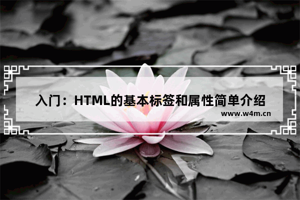 入门：HTML的基本标签和属性简单介绍