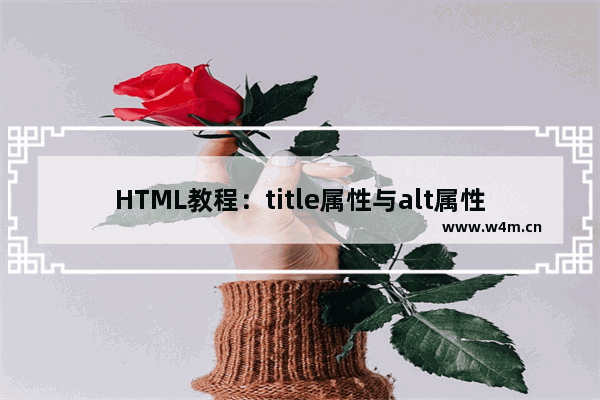 HTML教程：title属性与alt属性