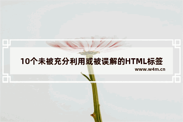 10个未被充分利用或被误解的HTML标签