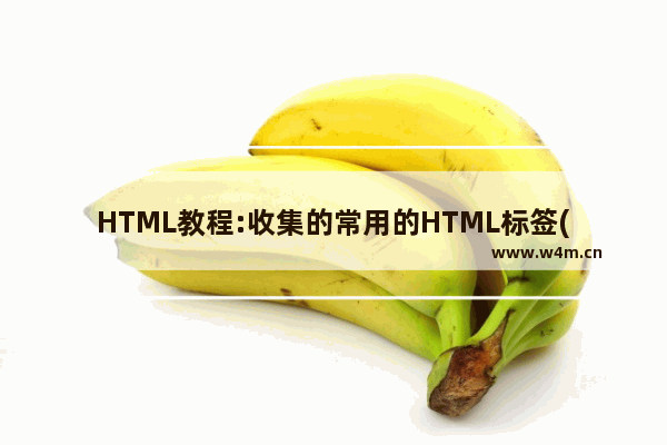 HTML教程:收集的常用的HTML标签(4)