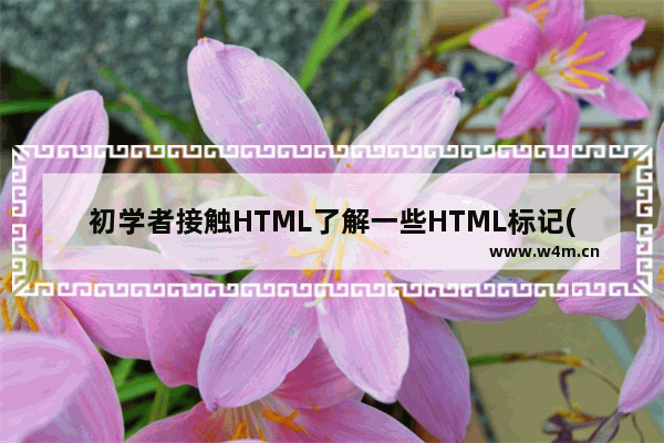 初学者接触HTML了解一些HTML标记(3)