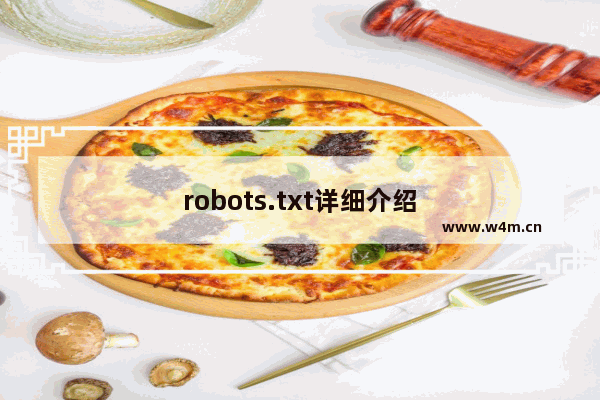 robots.txt详细介绍