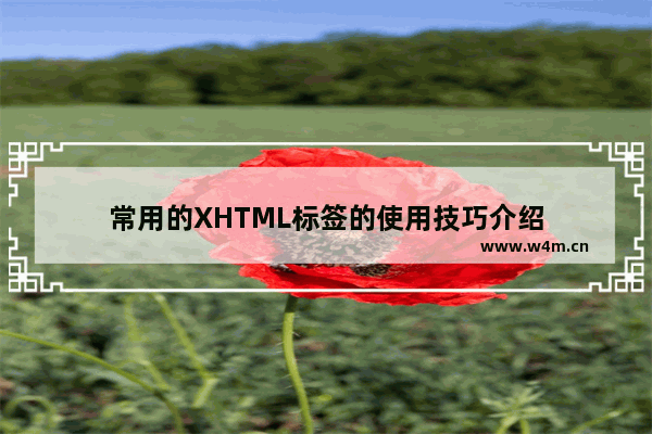 常用的XHTML标签的使用技巧介绍