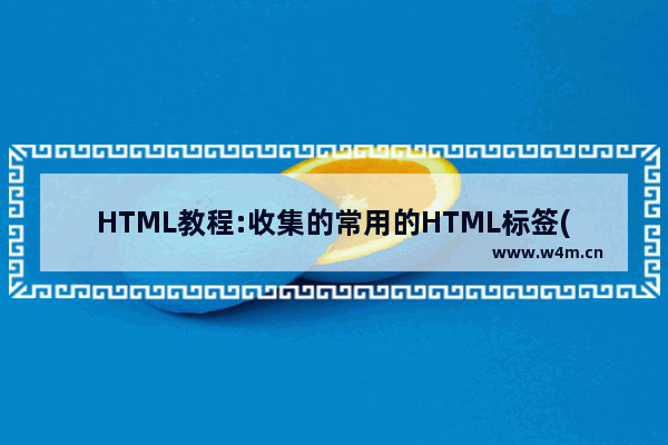 HTML教程:收集的常用的HTML标签(6)