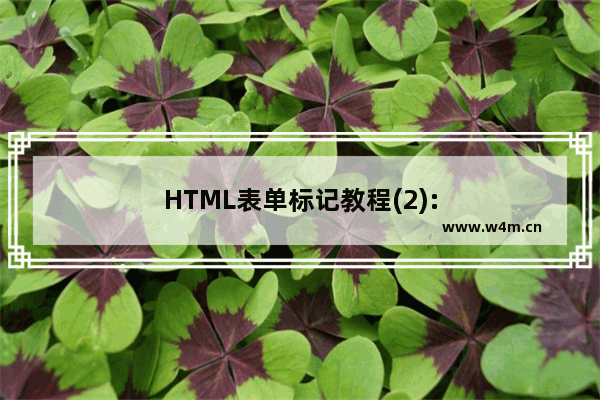 HTML表单标记教程(2):