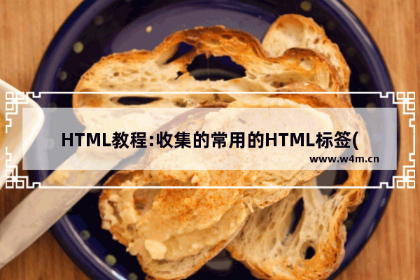 HTML教程:收集的常用的HTML标签(5)