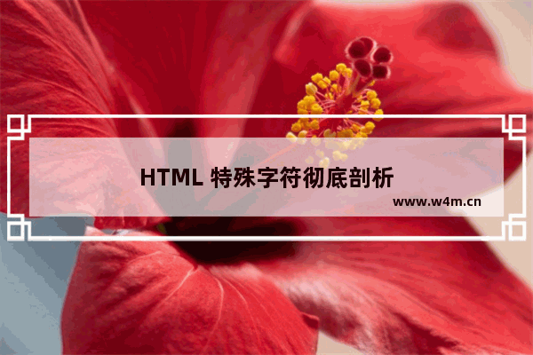 HTML 特殊字符彻底剖析