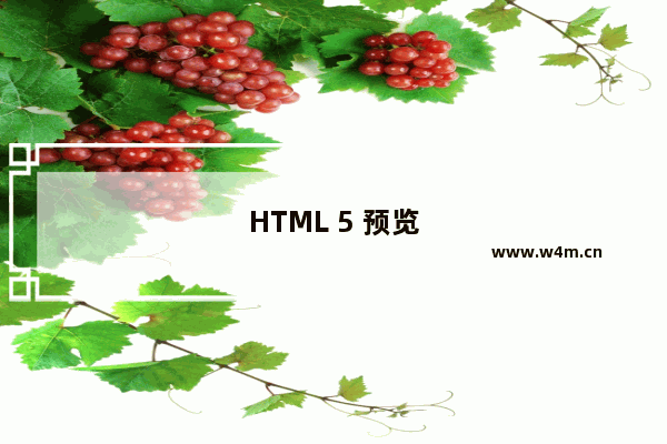 HTML 5 预览