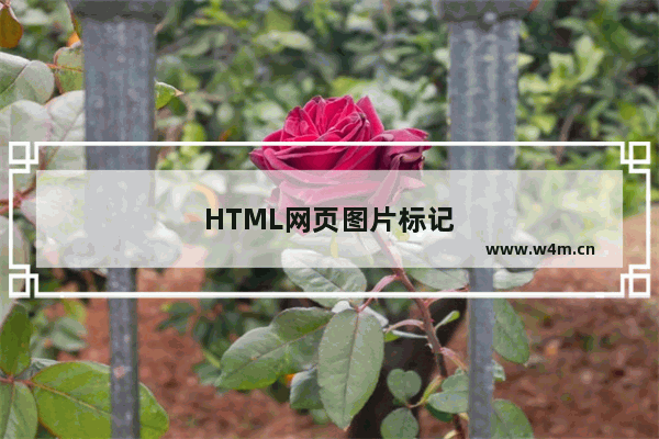 HTML网页图片标记