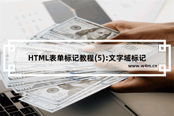 HTML表单标记教程(5):文字域标记