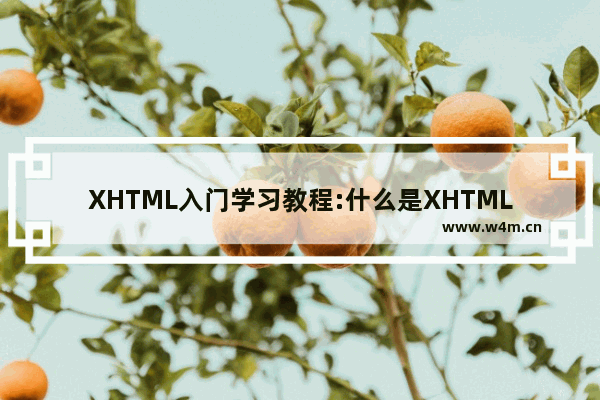 XHTML入门学习教程:什么是XHTML?