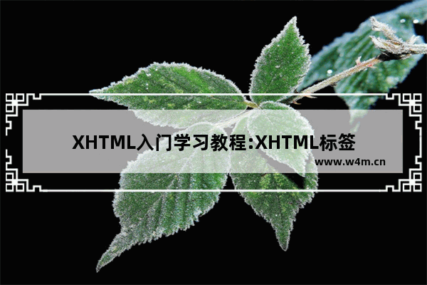 XHTML入门学习教程:XHTML标签