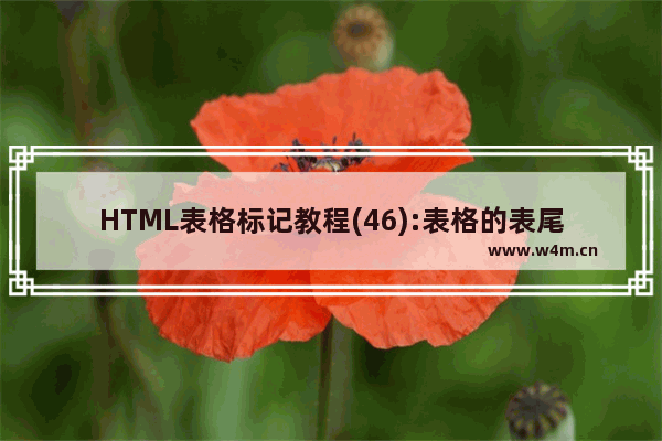 HTML表格标记教程(46):表格的表尾标记