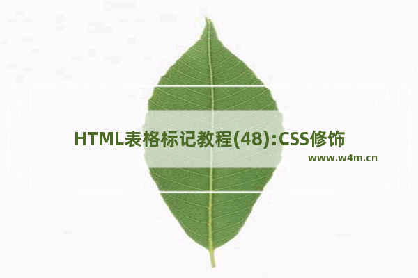 HTML表格标记教程(48):CSS修饰表格