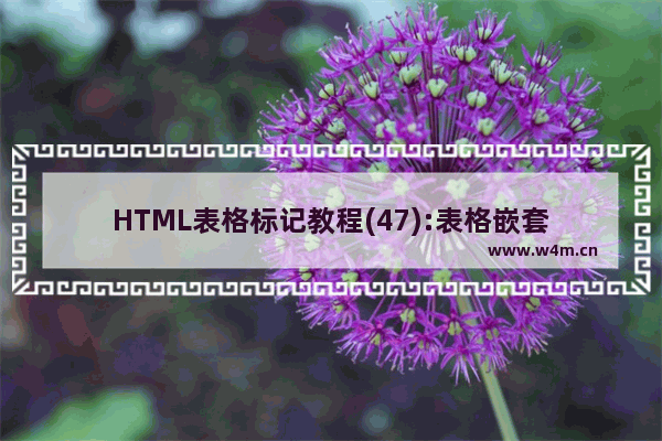 HTML表格标记教程(47):表格嵌套