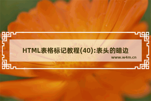 HTML表格标记教程(40):表头的暗边框色属性BORDERCOLORDARK