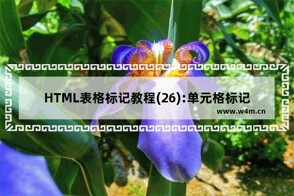 HTML表格标记教程(26):单元格标记