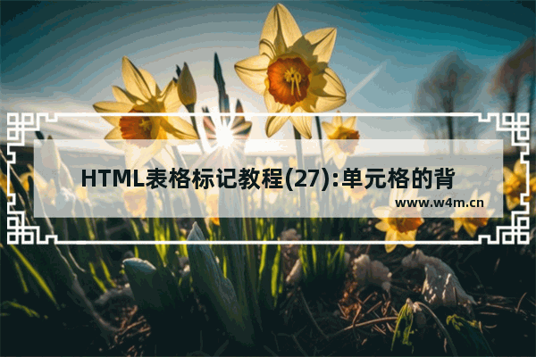 HTML表格标记教程(27):单元格的背景图像属性BACKGROUND