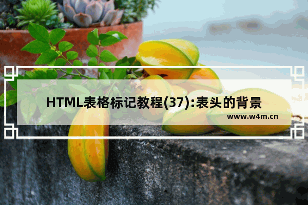 HTML表格标记教程(37):表头的背景图象属性BACKGROUND